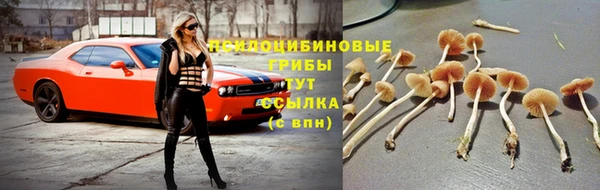 jwh Видное