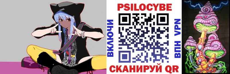 нарко площадка Telegram Каменногорск Галлюциногенные грибы Psilocybe